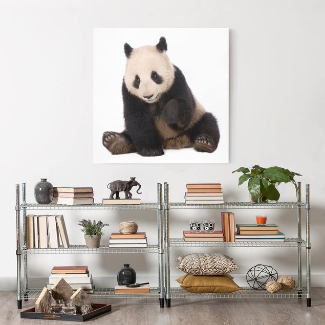 Telas decorativas animais Panda Paws