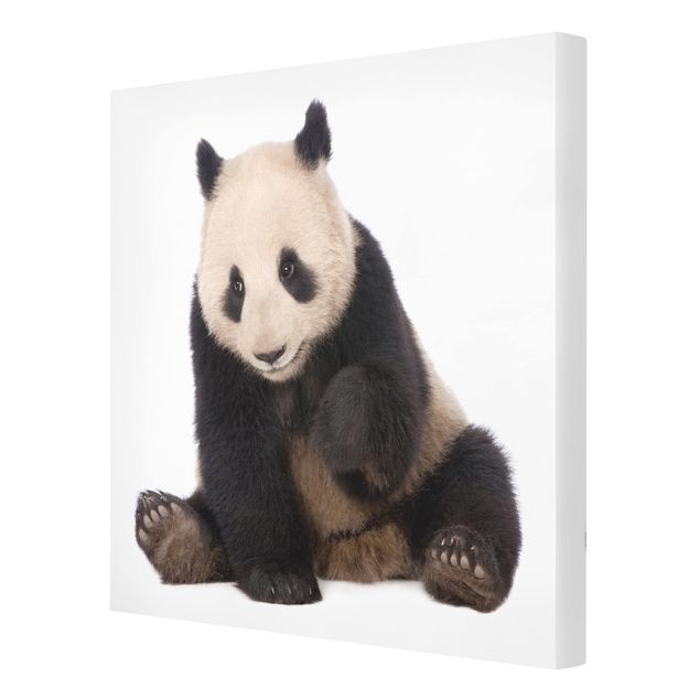Quadros decorativos Panda Paws