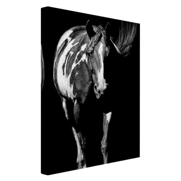 Telas decorativas em preto e branco Horse In The Dark