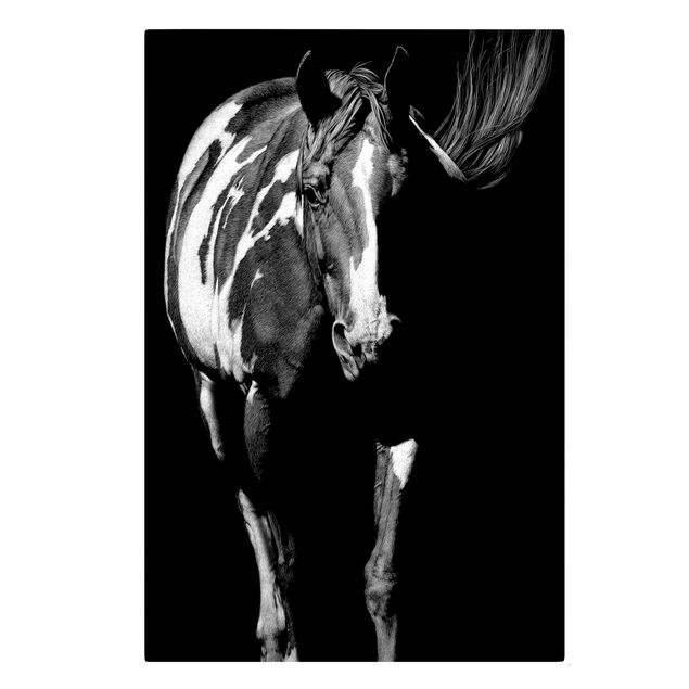 Telas decorativas animais Horse In The Dark