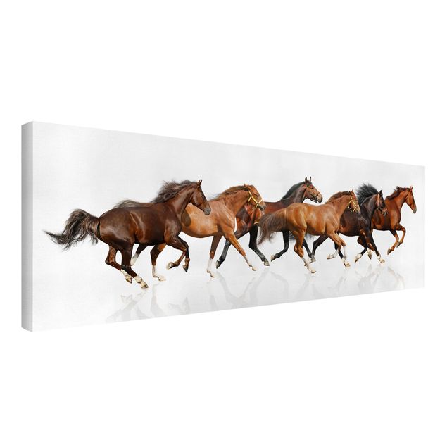 Telas decorativas animais Horse Herd