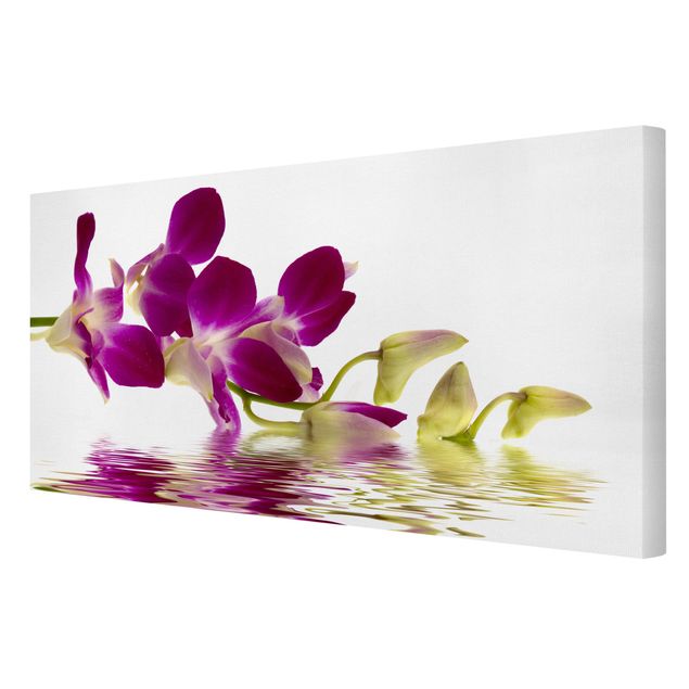 quadro com flores Pink Orchid Waters