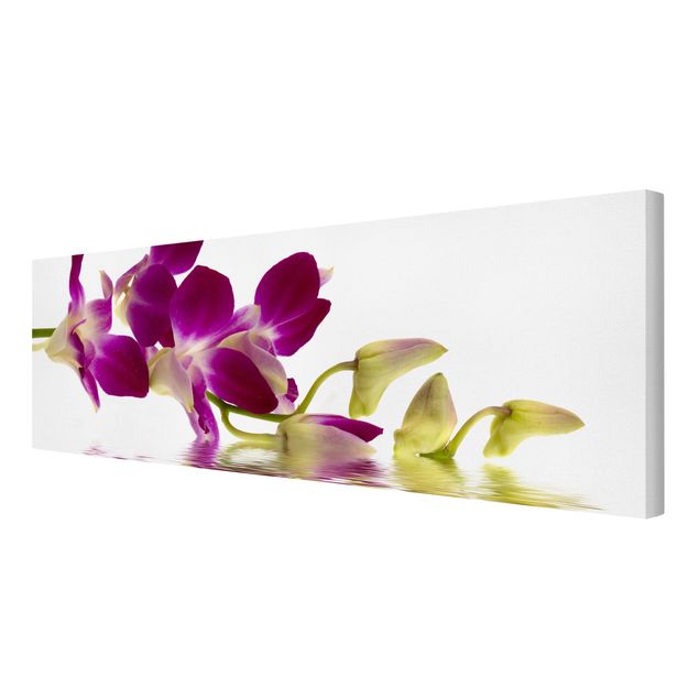 quadro com flores Pink Orchid Waters