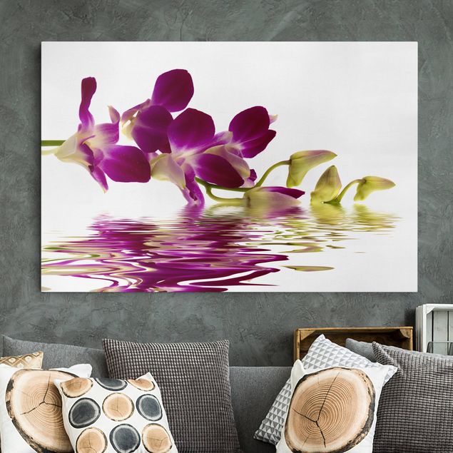 Quadros orquídeas Pink Orchid Waters