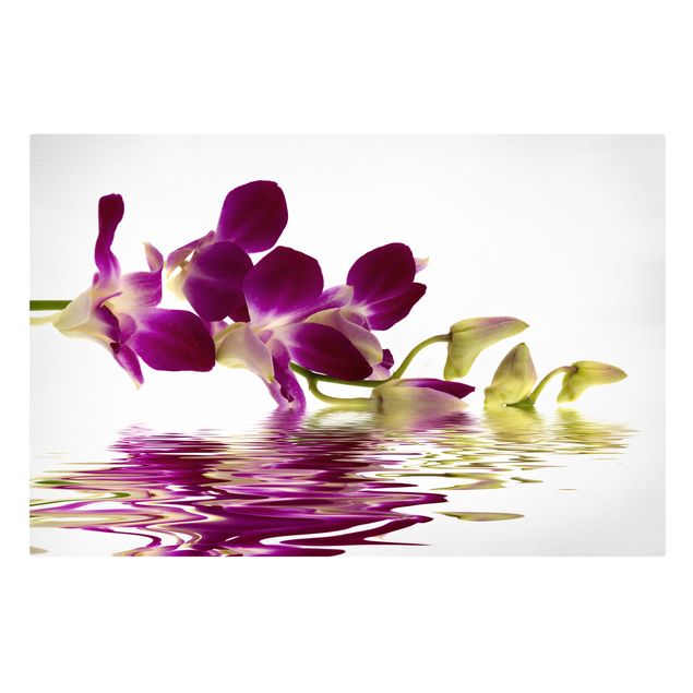 Quadros florais Pink Orchid Waters