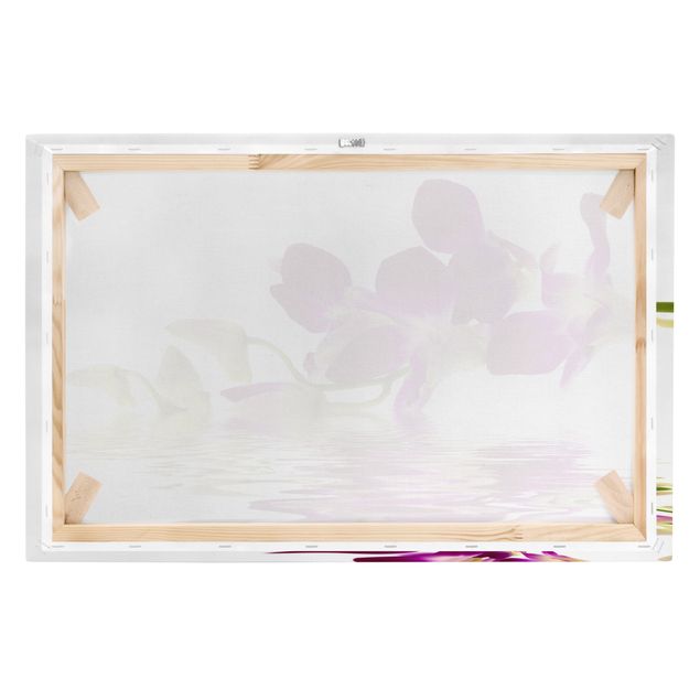 Quadros decorativos Pink Orchid Waters
