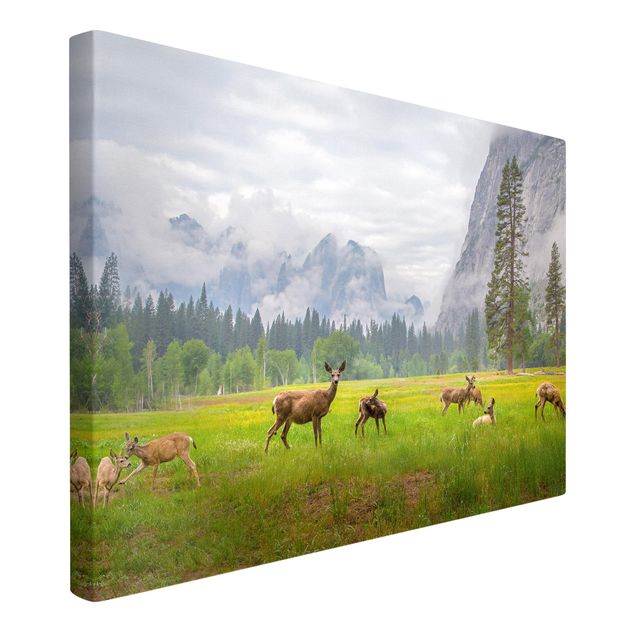 Quadros paisagens Deer In The Mountains