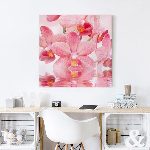 Telas decorativas orquídeas Light Pink Orchid On Water