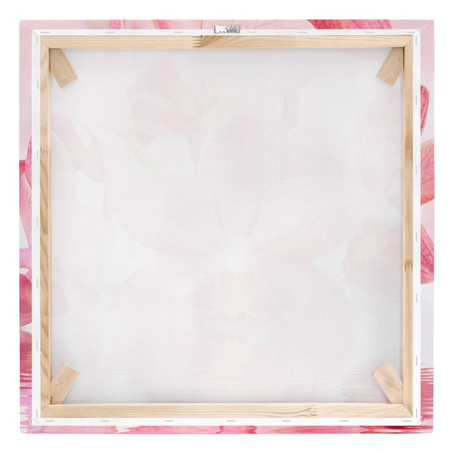 Quadros decorativos Light Pink Orchid On Water