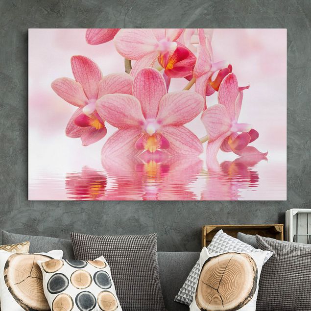 Quadros orquídeas Light Pink Orchid On Water