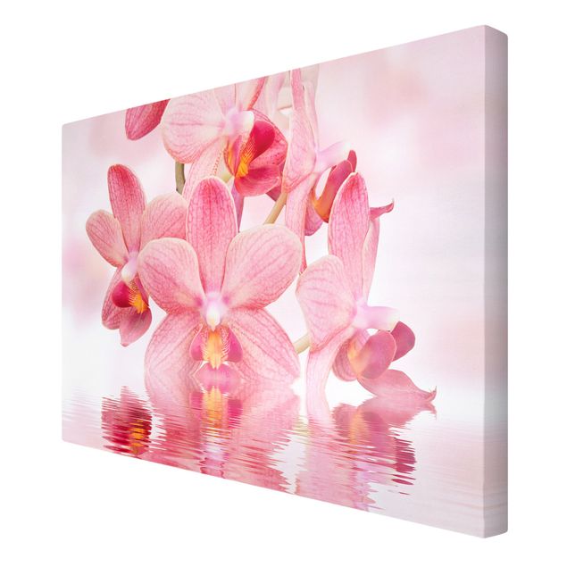 quadro com flores Light Pink Orchid On Water