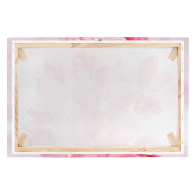 Quadros decorativos Light Pink Orchid On Water