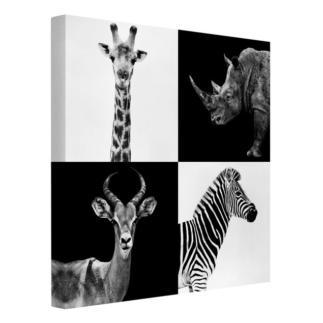 Telas decorativas em preto e branco Safari Quartet
