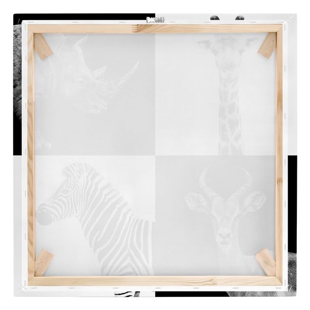 Quadros preto e branco Safari Quartet