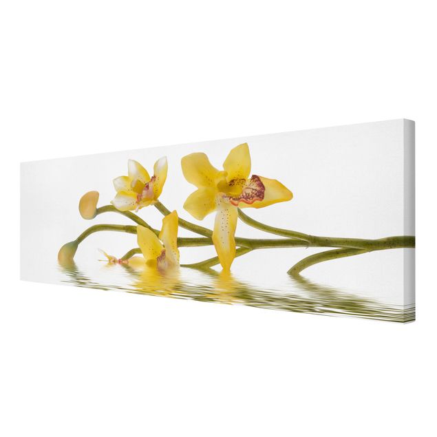 quadros flores Saffron Orchid Waters
