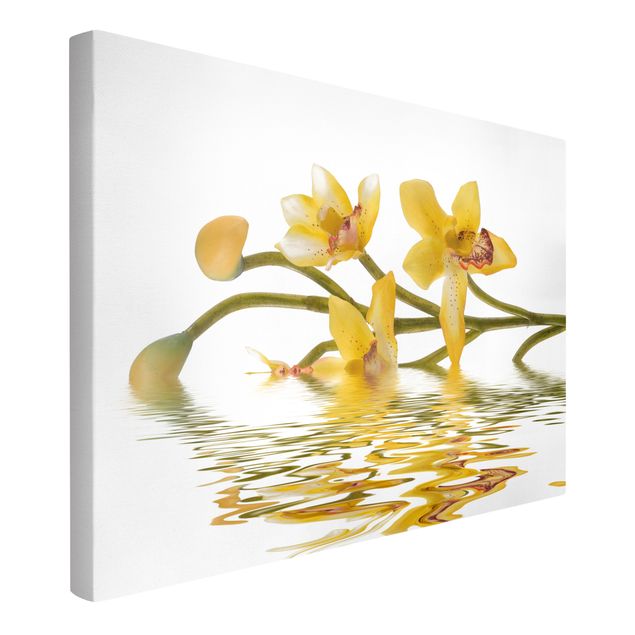 Telas decorativas flores Saffron Orchid Waters