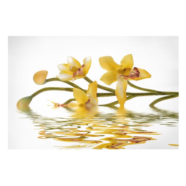 Quadros florais Saffron Orchid Waters