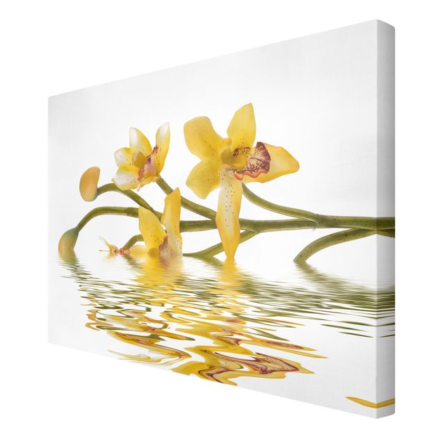 quadros flores Saffron Orchid Waters