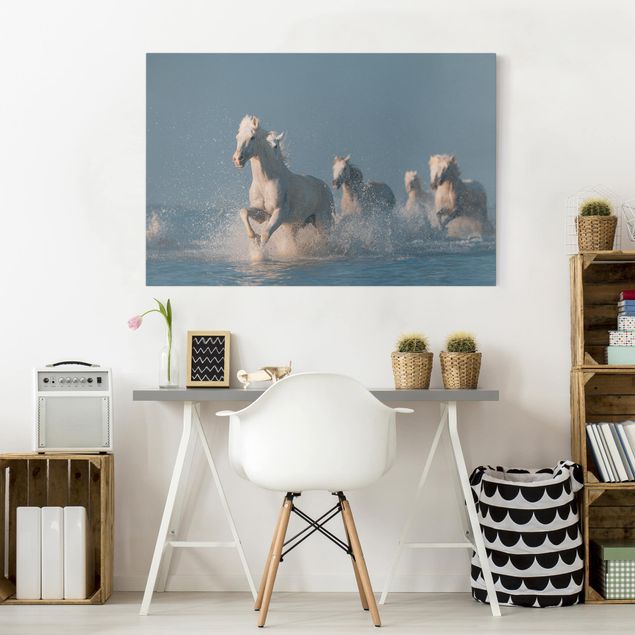quadro de cavalo Herd Of White Horses