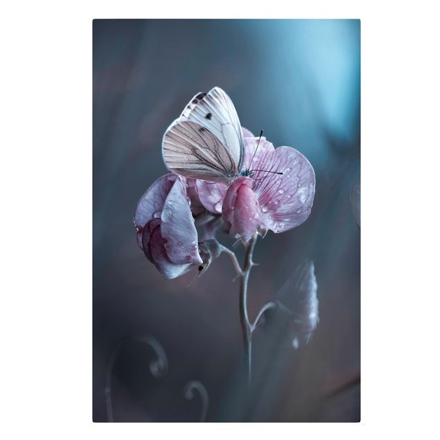 Quadros florais Butterfly In The Rain