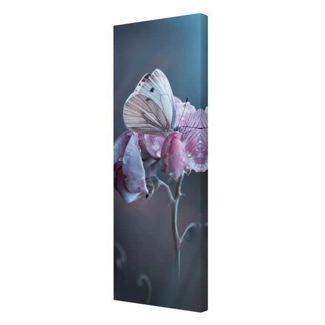 quadro com flores Butterfly In The Rain