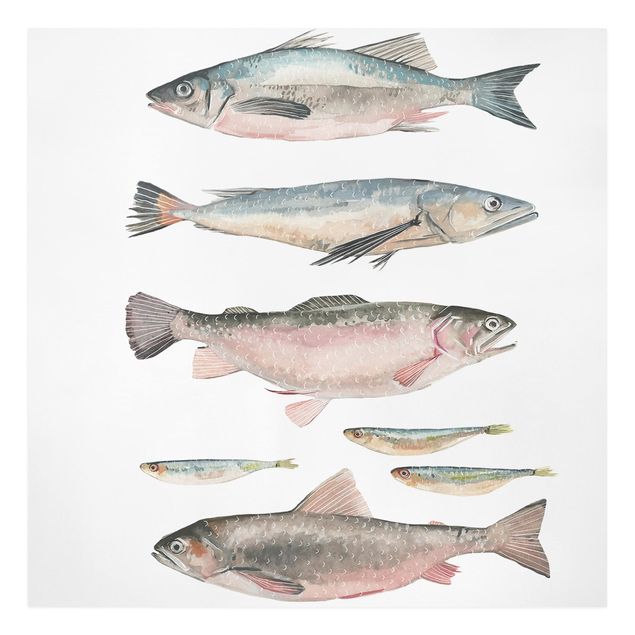 quadros modernos para quarto de casal Seven Fish In Watercolour I