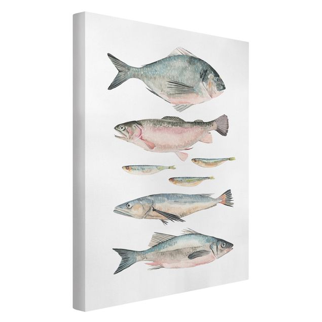 Telas decorativas animais Seven Fish In Watercolour II