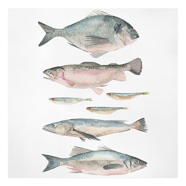Quadros modernos Seven Fish In Watercolour II