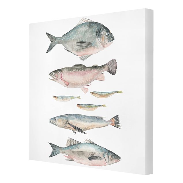 Quadros animais Seven Fish In Watercolour II
