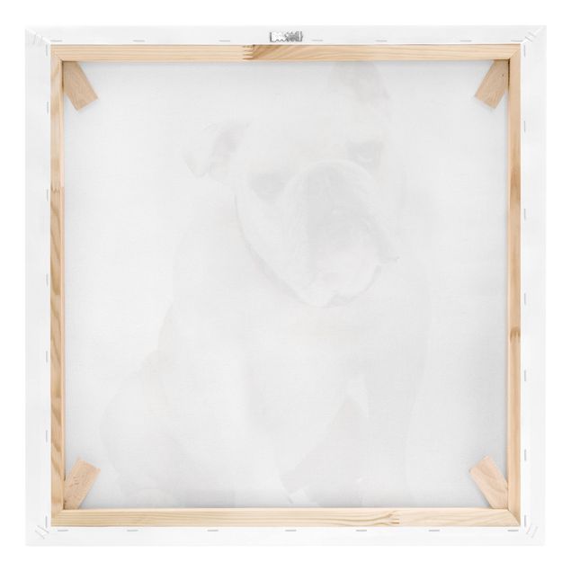 decoração quadros Skeptical Bulldog