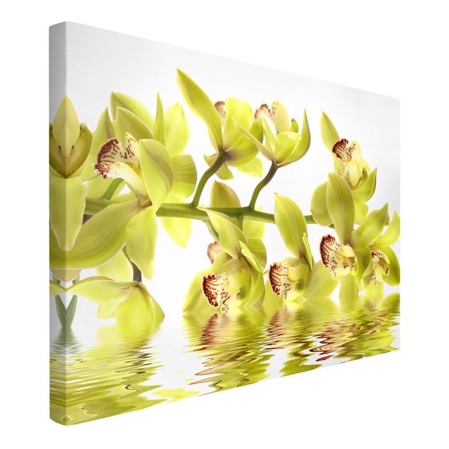 Telas decorativas flores Splendid Orchid Waters