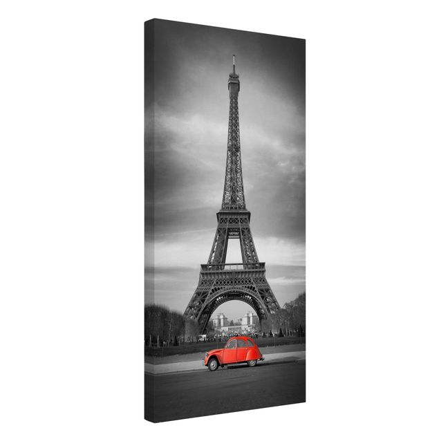 Telas decorativas em preto e branco Spot On Paris