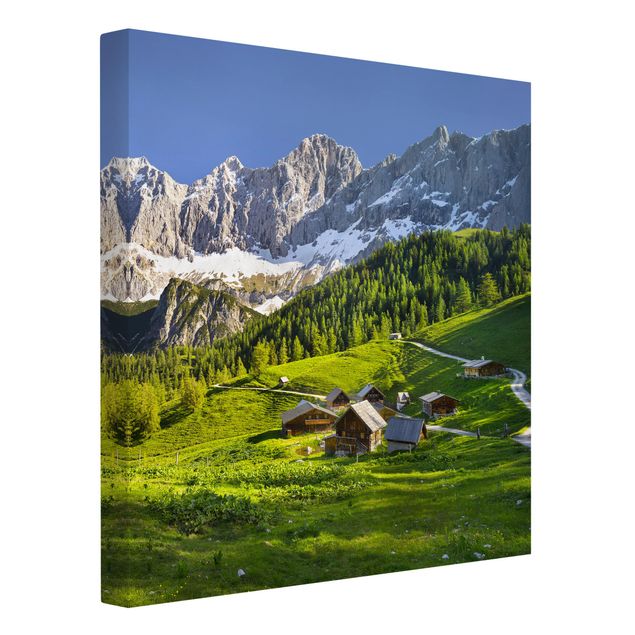 Quadros montanhas Styria Alpine Meadow