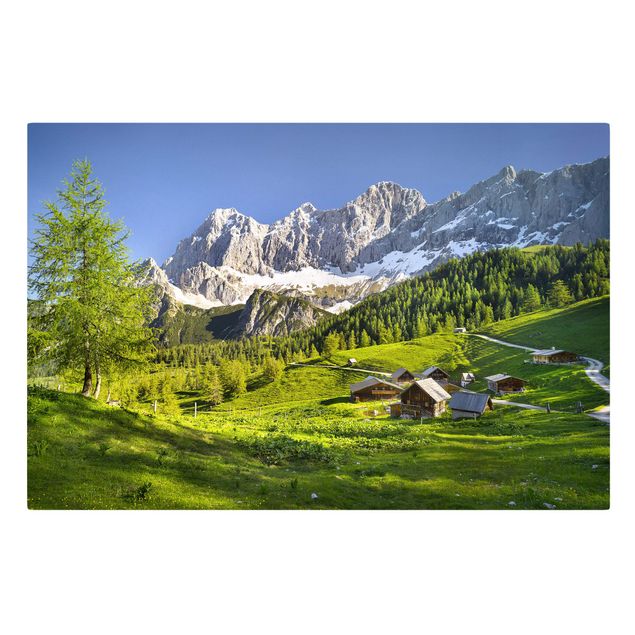 quadros de paisagens Styria Alpine Meadow