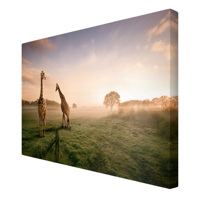 Telas decorativas animais Surreal Giraffes