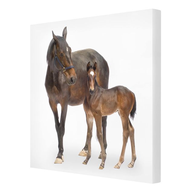 quadros modernos para quarto de casal Trakehner Mare & Foal