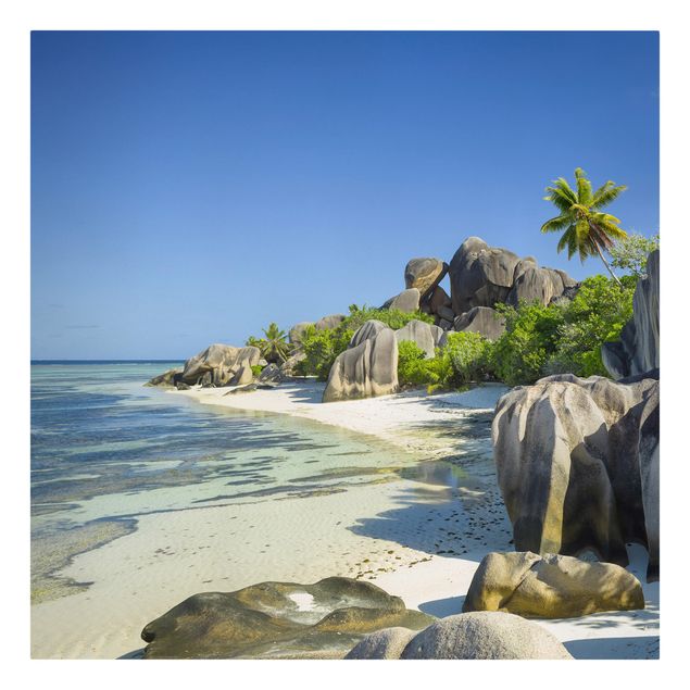 Quadros praia Dream Beach Seychelles
