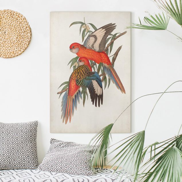 Telas decorativas aves Tropical Parrot I