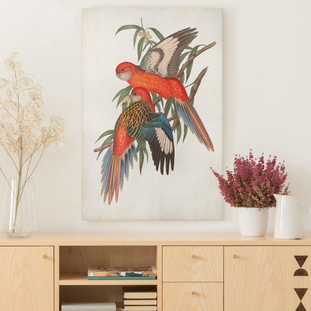 decoraçao para parede de cozinha Tropical Parrot I