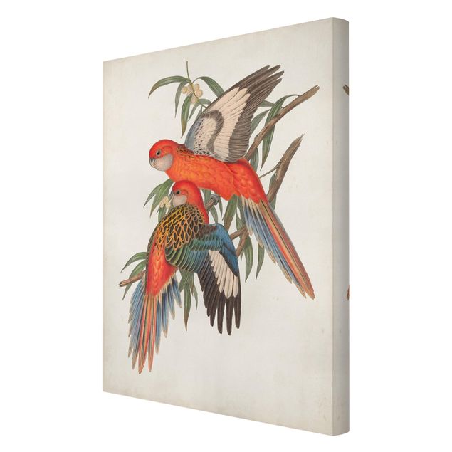 decoração quadros Tropical Parrot I