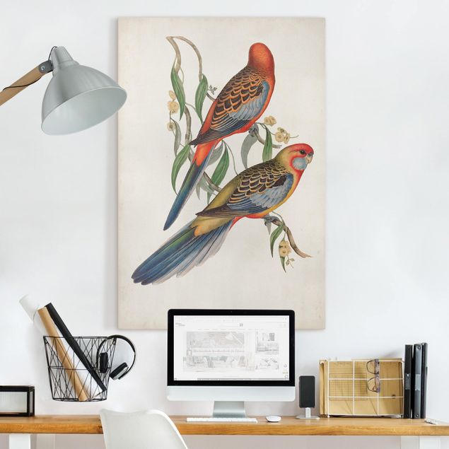 Telas decorativas aves Tropical Parrot II
