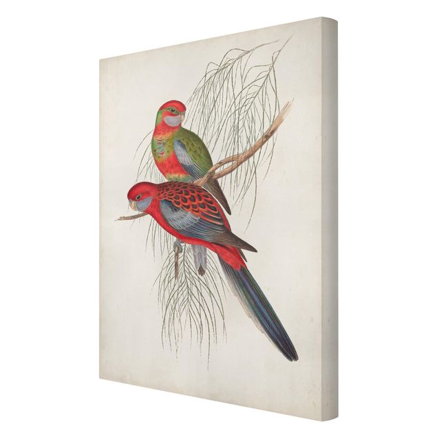 decoração quadros Tropical Parrot III