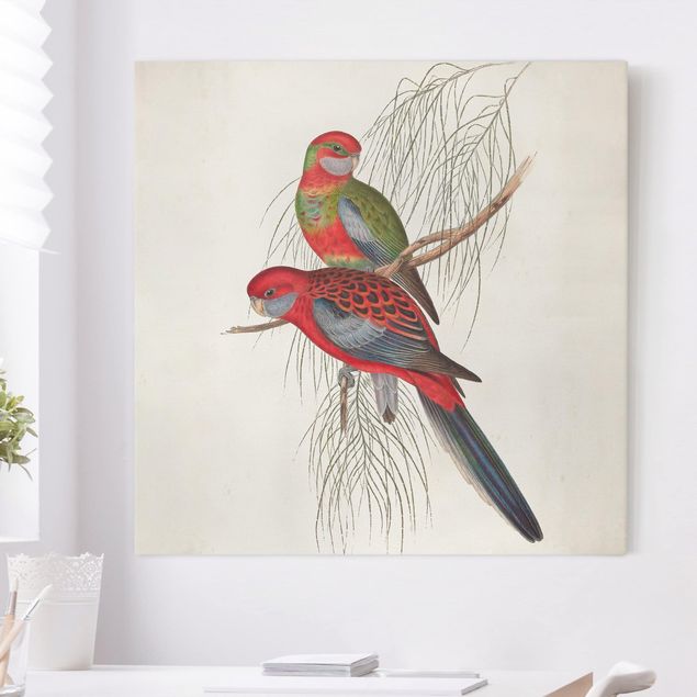 Telas decorativas aves Tropical Parrot III