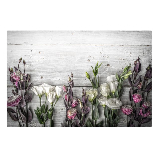 quadros flores Tulip Rose Shabby Wood Look