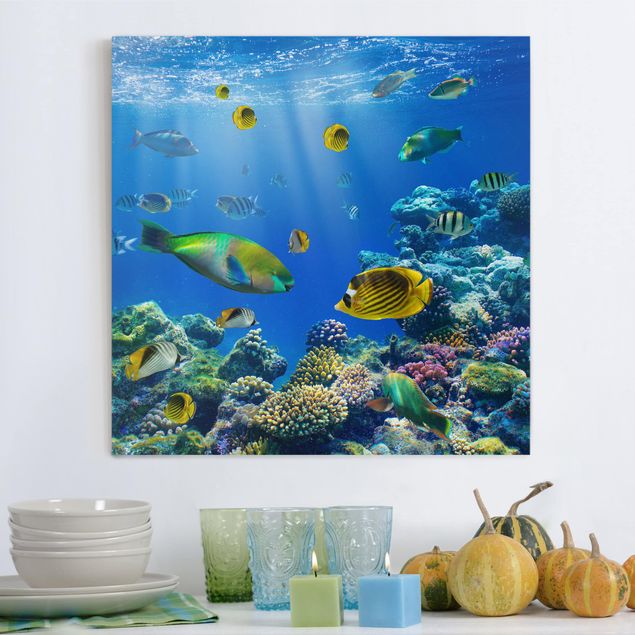 Telas decorativas peixes Underwater Lights