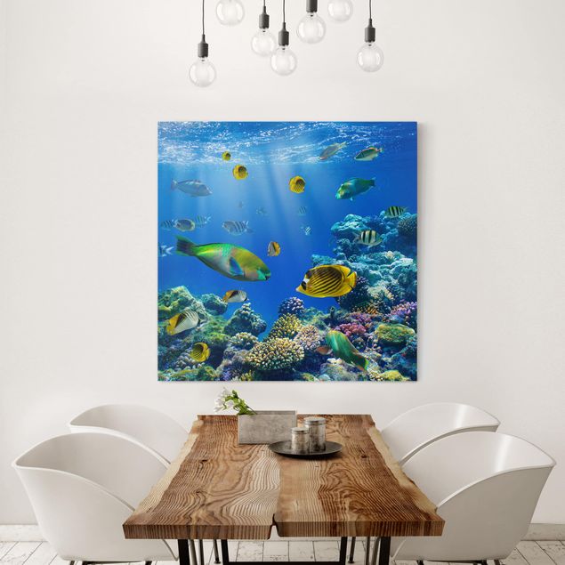 decoraçao para parede de cozinha Underwater Lights