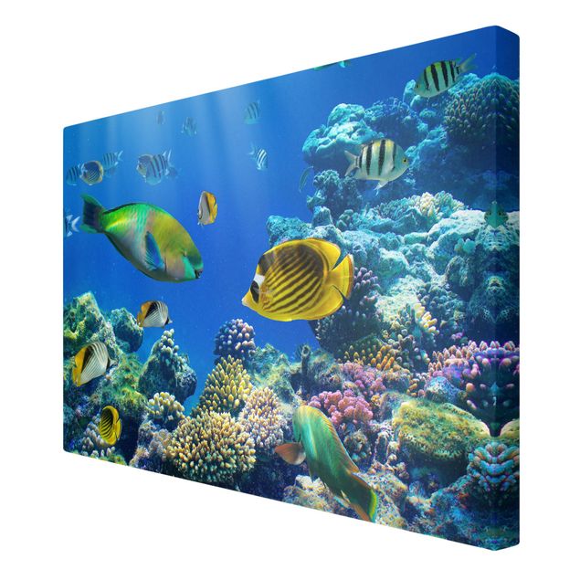 quadro decorativo mar Underwater Lights