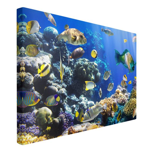 quadros de paisagens Underwater Reef