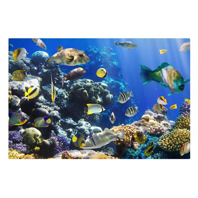 quadro de praia Underwater Reef