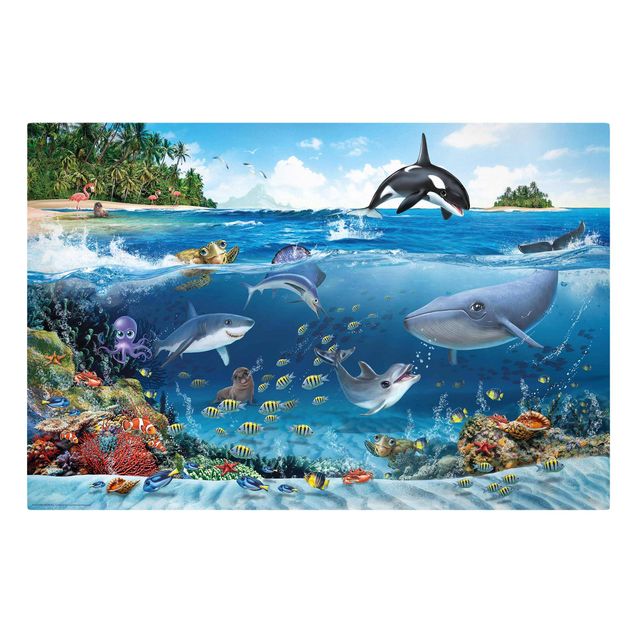 Quadros praia Animal Club International - Underwater World With Animals